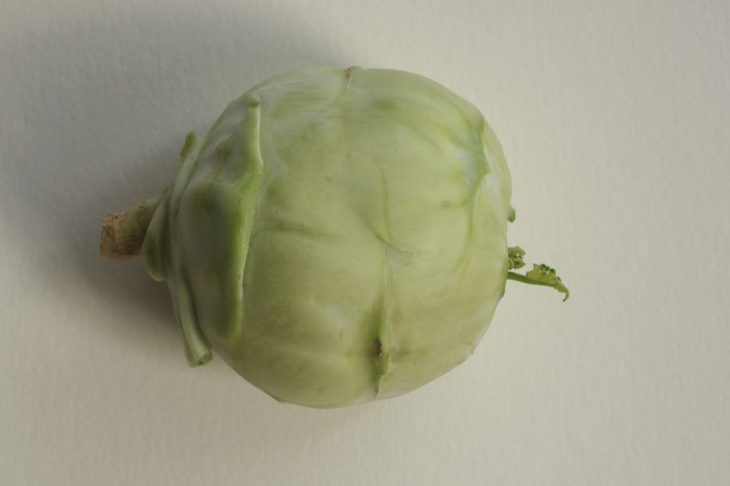 koolrabi