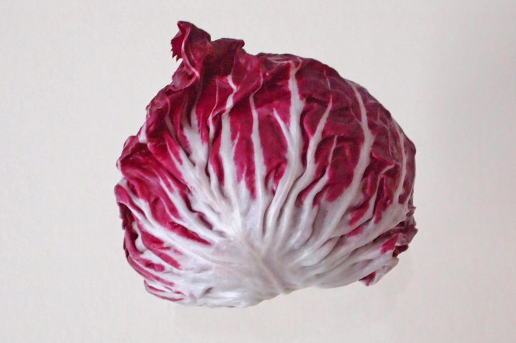 radicchio rosso roodlof