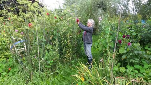 fruittuin tres jolie